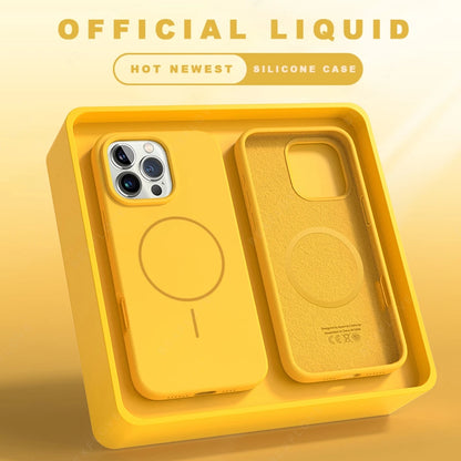 Lanyard Liquid Silicone Phone Case For iPhone
